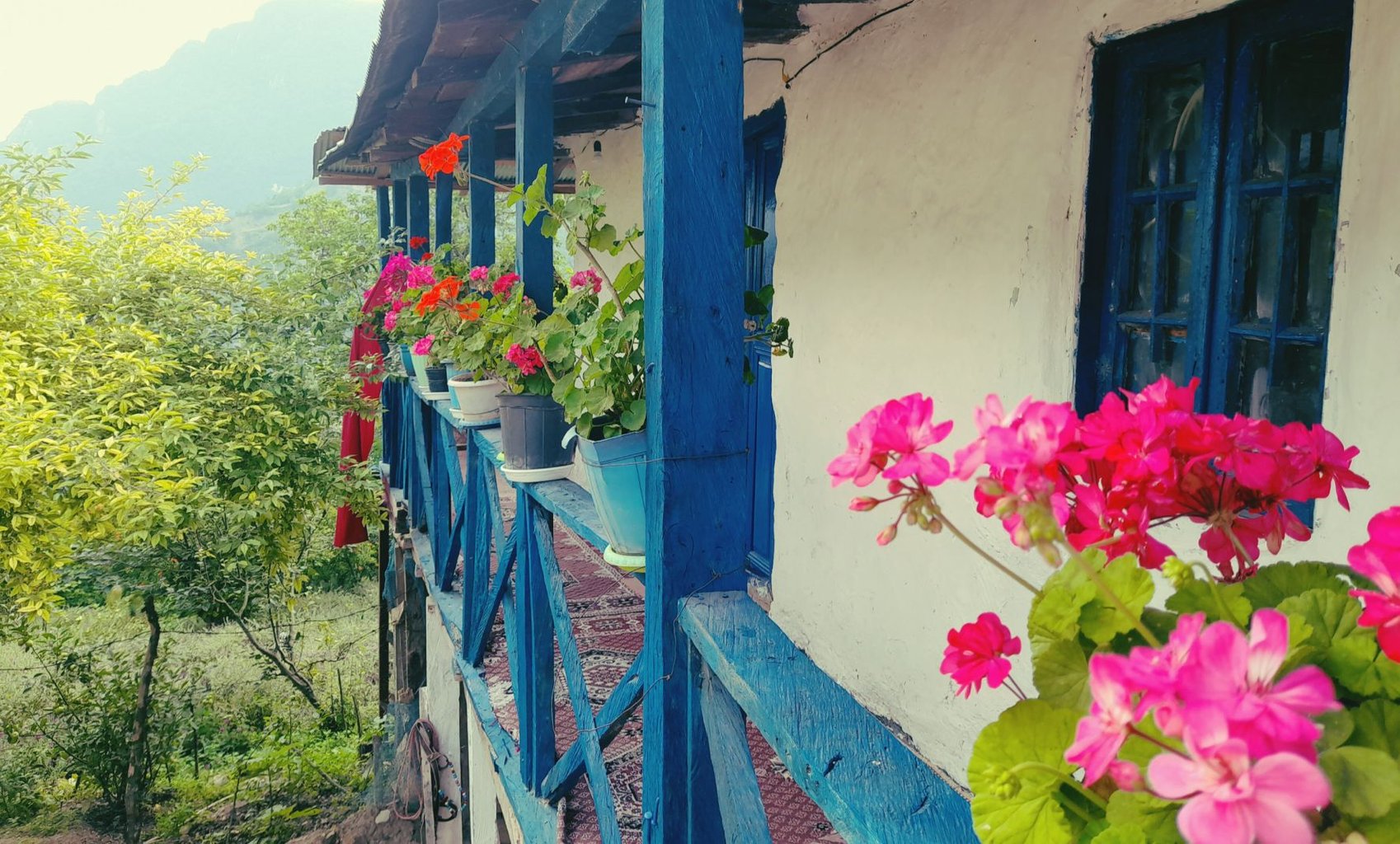 یک خوابه میلاش 1