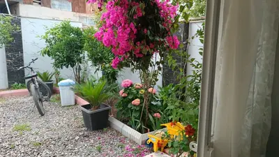 سوئیت فلت ساحلی آرتین