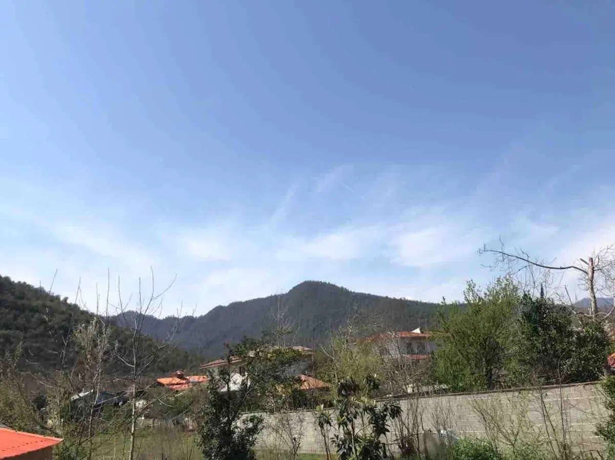 ویلا فلت هانیسا - انتخاب تصویر