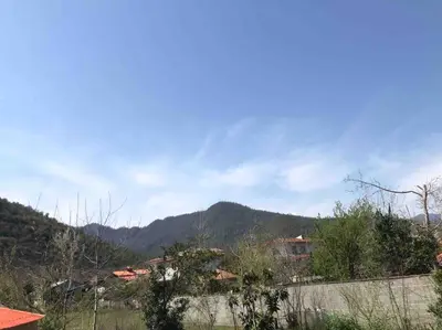 ویلا فلت هانیسا