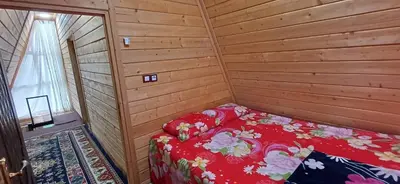 کلبه دوخوابه سوئیسی پدری