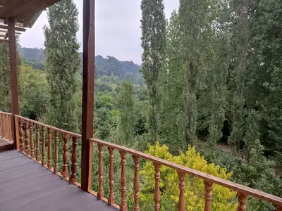 کلبه فلت چوبی آنام