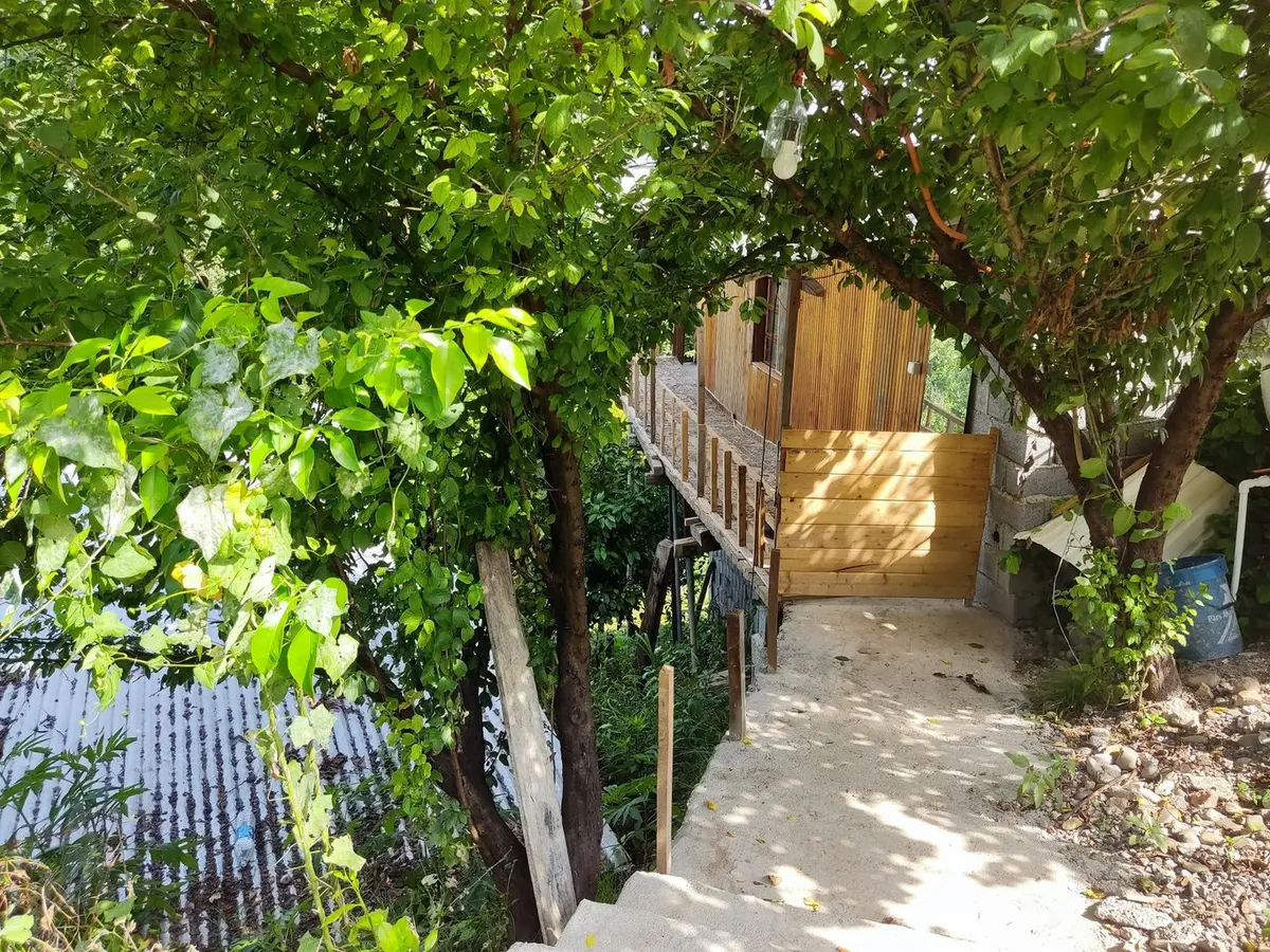 کلبه فلت چوبی آنام