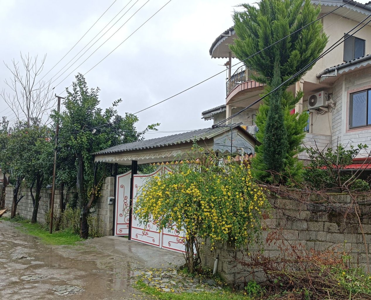 ویلا دوخوابه یاس زرد - بیرون ویلا کوجه