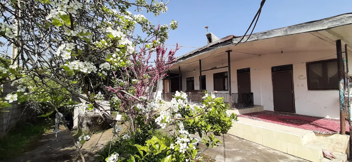 ویلا فلت محجوب