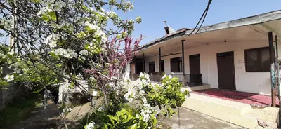 ویلا فلت محجوب