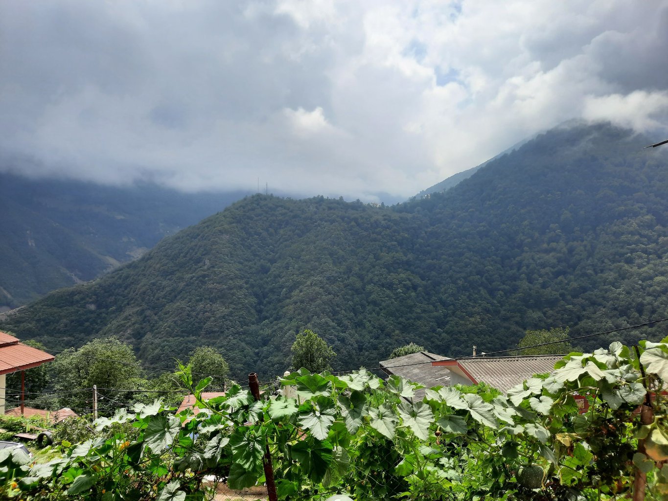 ویلا یک خوابه میانکوه