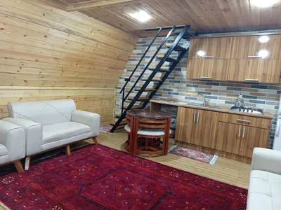 کلبه دوخوابه کلبه سوئیسی امین