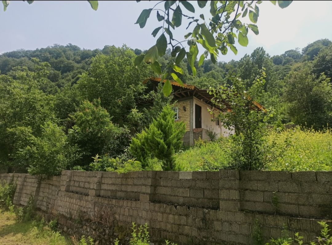 ویلا جنگلی امین