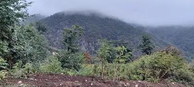 ویلا ویلا غیر فعال 