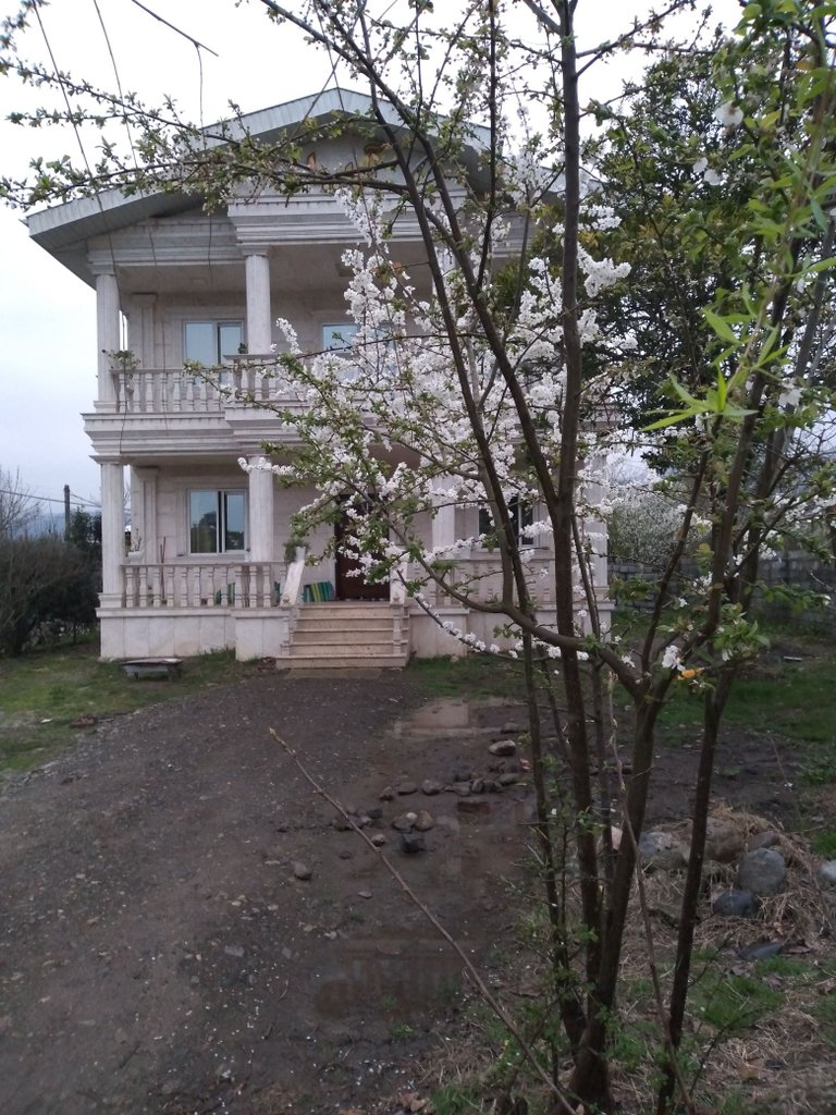 دوخوابه گیسوم آریا - نمای بیرون