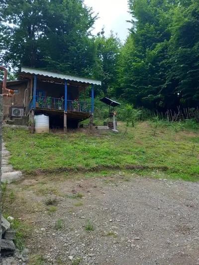 کلبه فلت جنگلی مهران