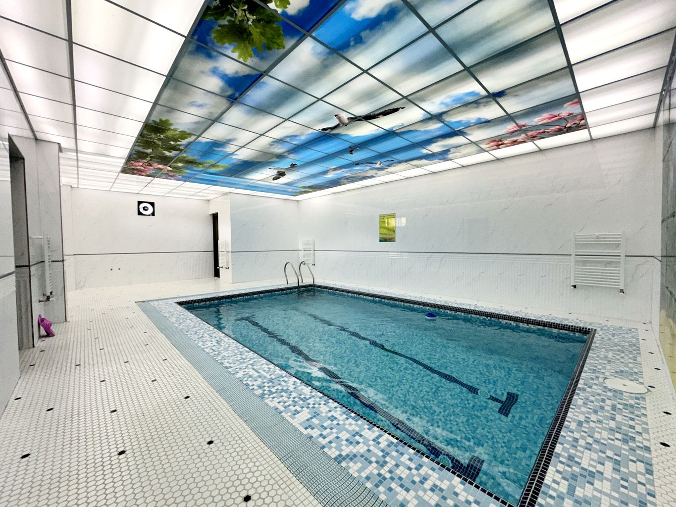 ویلا رزرو ویلا استخر دار جنگلی