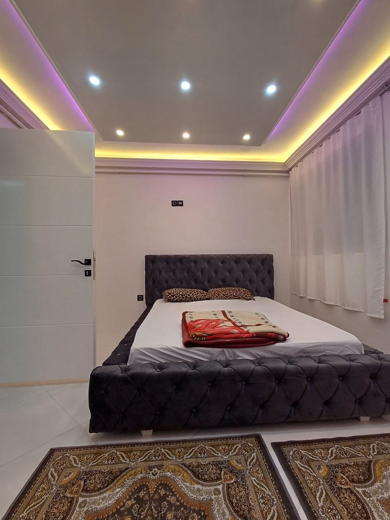 دوخوابه کاکتوس 3