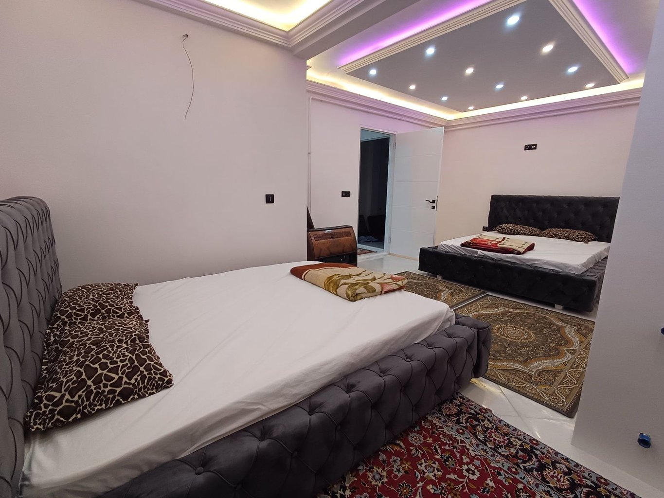 دوخوابه کاکتوس 3