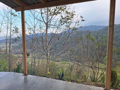 سوئیت یک خوابه جنگلی ماسو - واحد 1