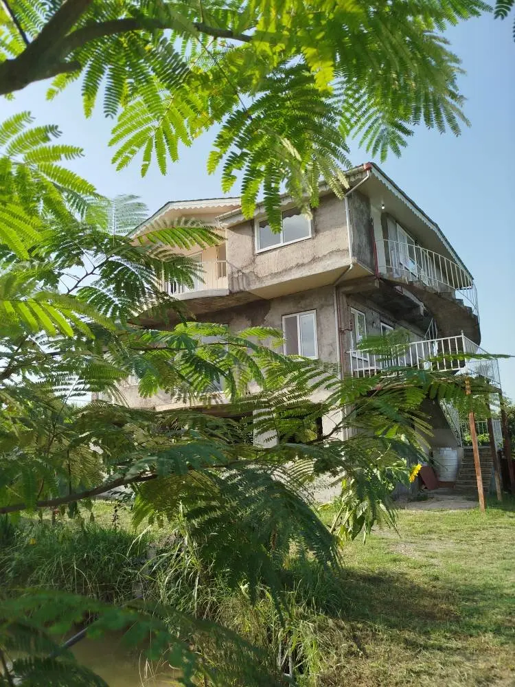 ویلا سه خوابه جنگلی دوستان