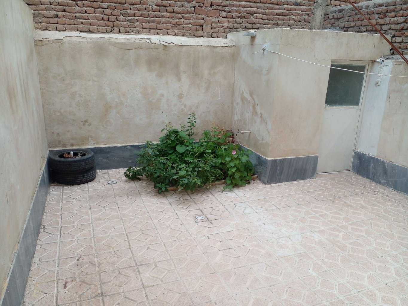 سوئیت فلت کیانی