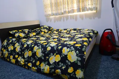 کلبه یک خوابه رایکا 2