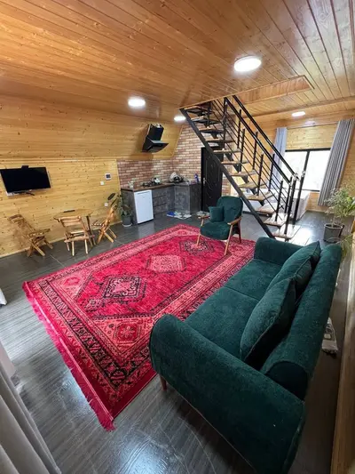 کلبه یک خوابه جکوزی دار سوئیسی الیت 1