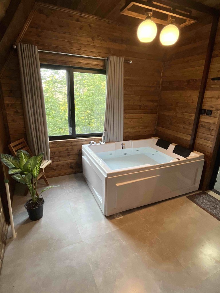 یک خوابه جکوزی دار سوئیسی الیت 2