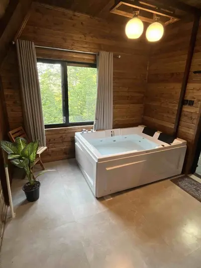 کلبه یک خوابه جکوزی دار سوئیسی الیت 2