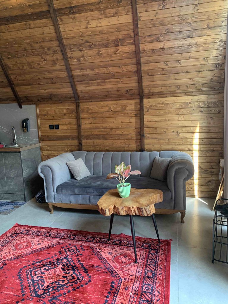 یک خوابه جکوزی دار سوئیسی الیت 2