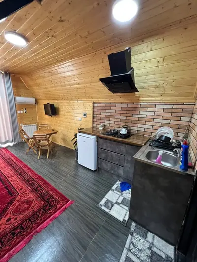 کلبه یک خوابه جکوزی دار سوئیسی الیت 1