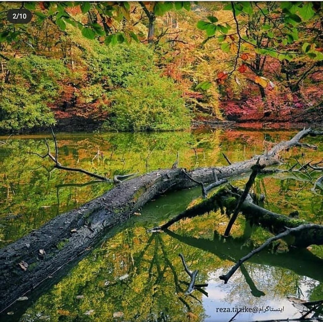 بومگردی خانه سبز - واحد 5