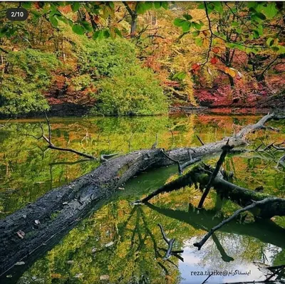 بومگردی خانه سبز - واحد 5