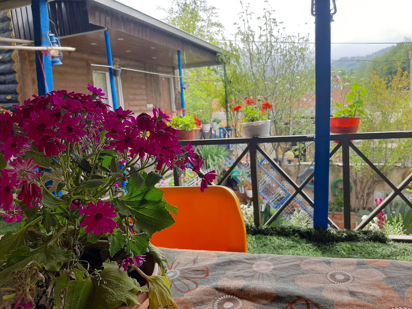 بومگردی خانه سبز - واحد فلت