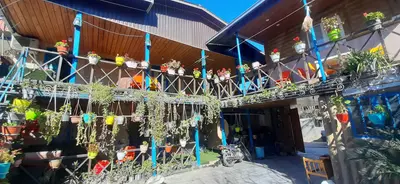 بومگردی خانه سبز - واحد فلت