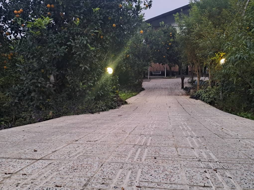 دوخوابه جنگلی امیررضا