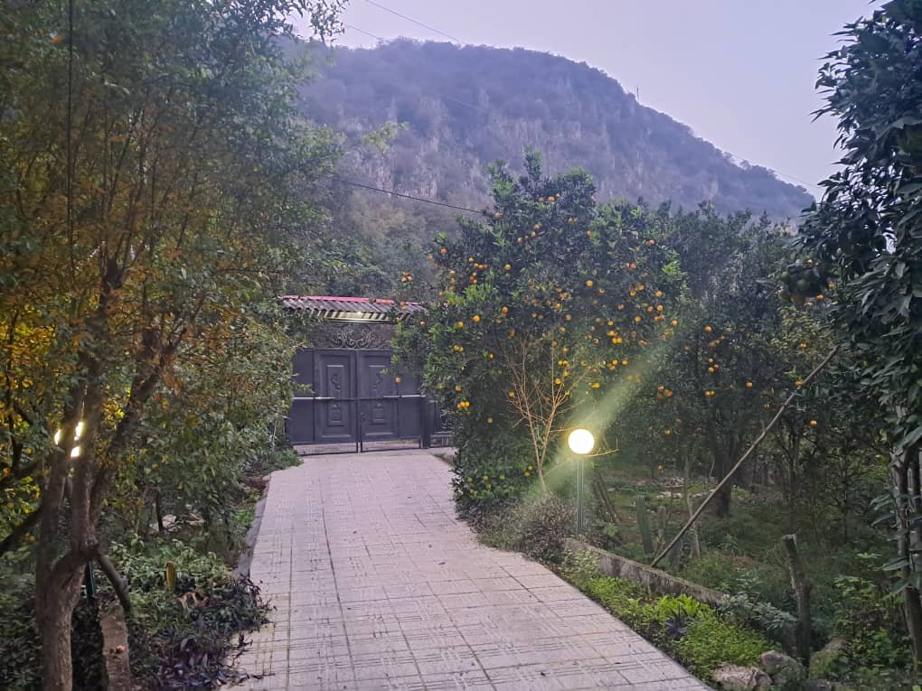 دوخوابه جنگلی امیررضا