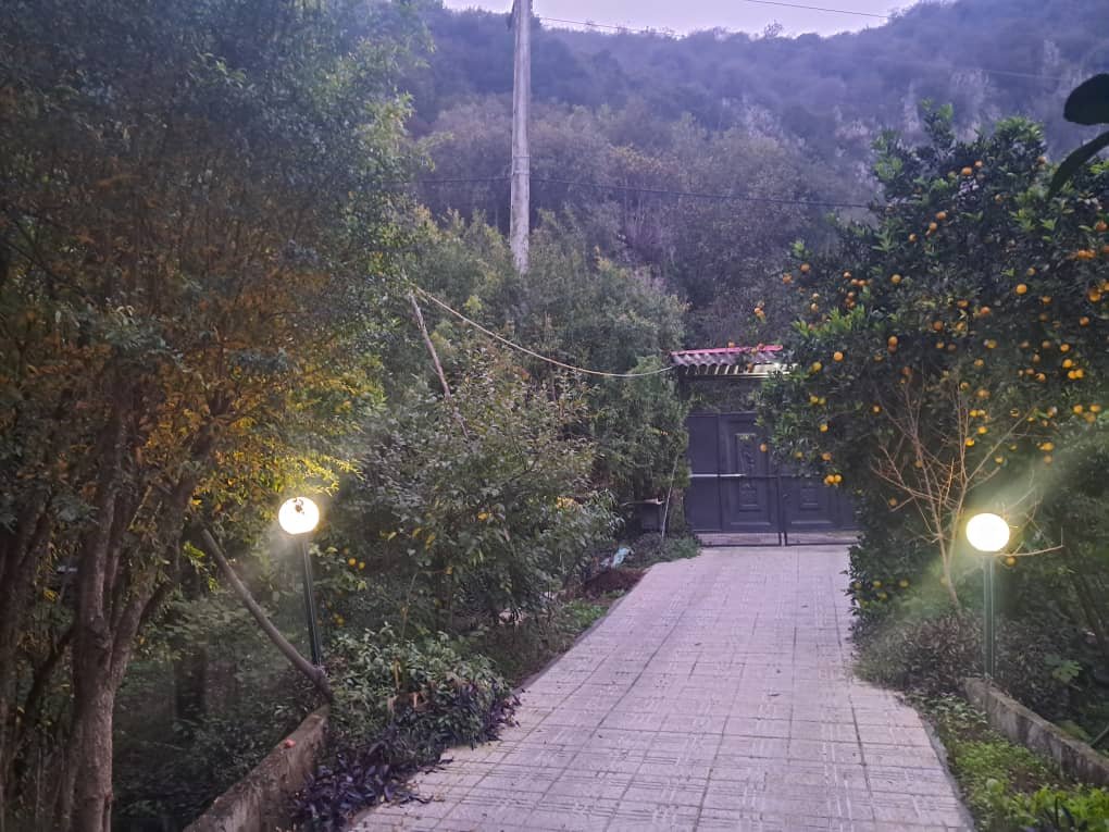 دوخوابه جنگلی امیررضا