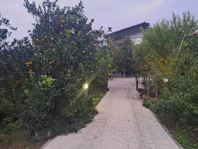 سوئیت دوخوابه جنگلی امیررضا