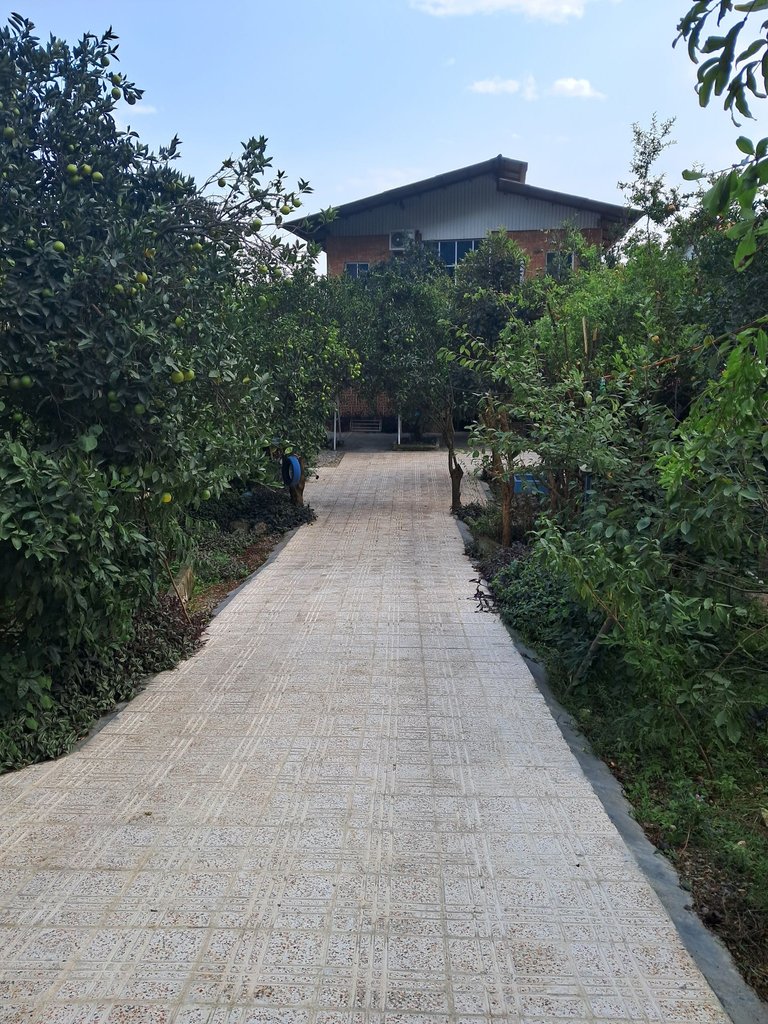 سوئیت دوخوابه جنگلی امیررضا