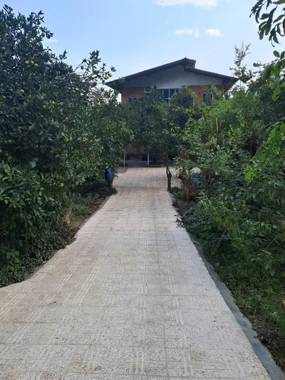 سوئیت دوخوابه جنگلی امیررضا