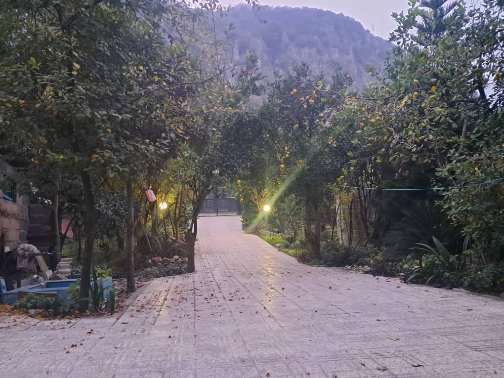 دوخوابه جنگلی امیررضا