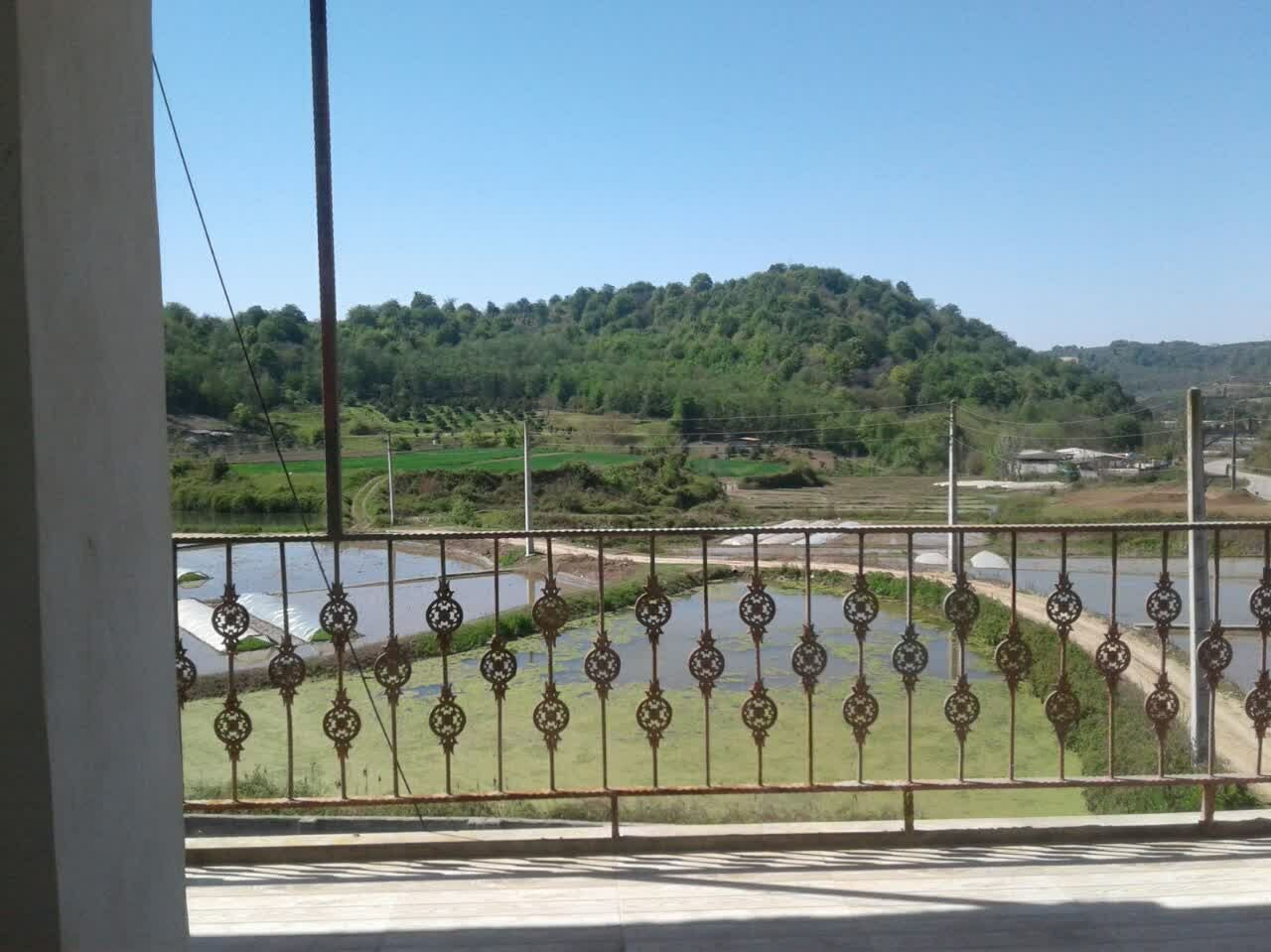 ویلا دوخوابه جنگلی سبز