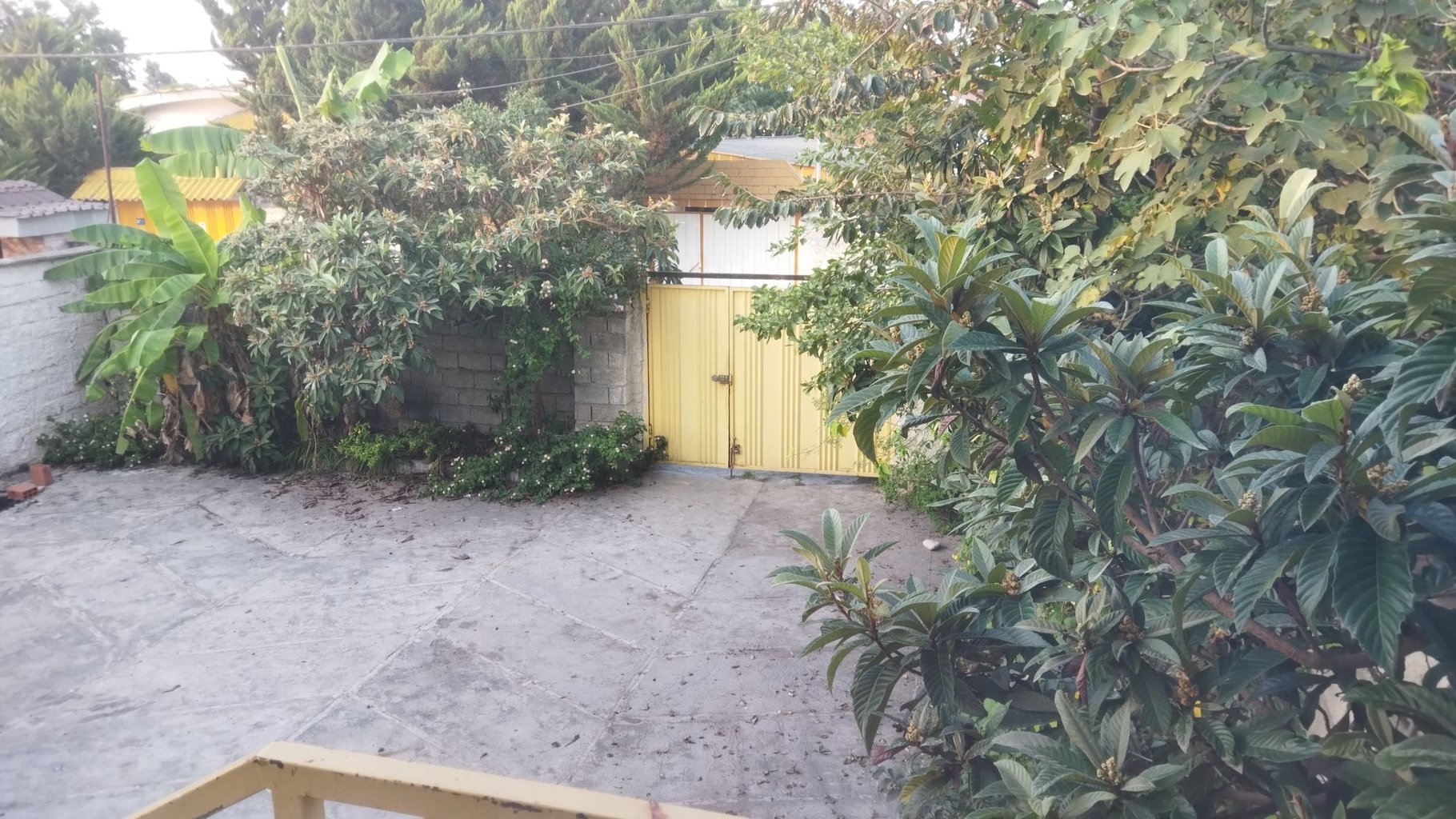 یک خوابه ساحلی موج 6