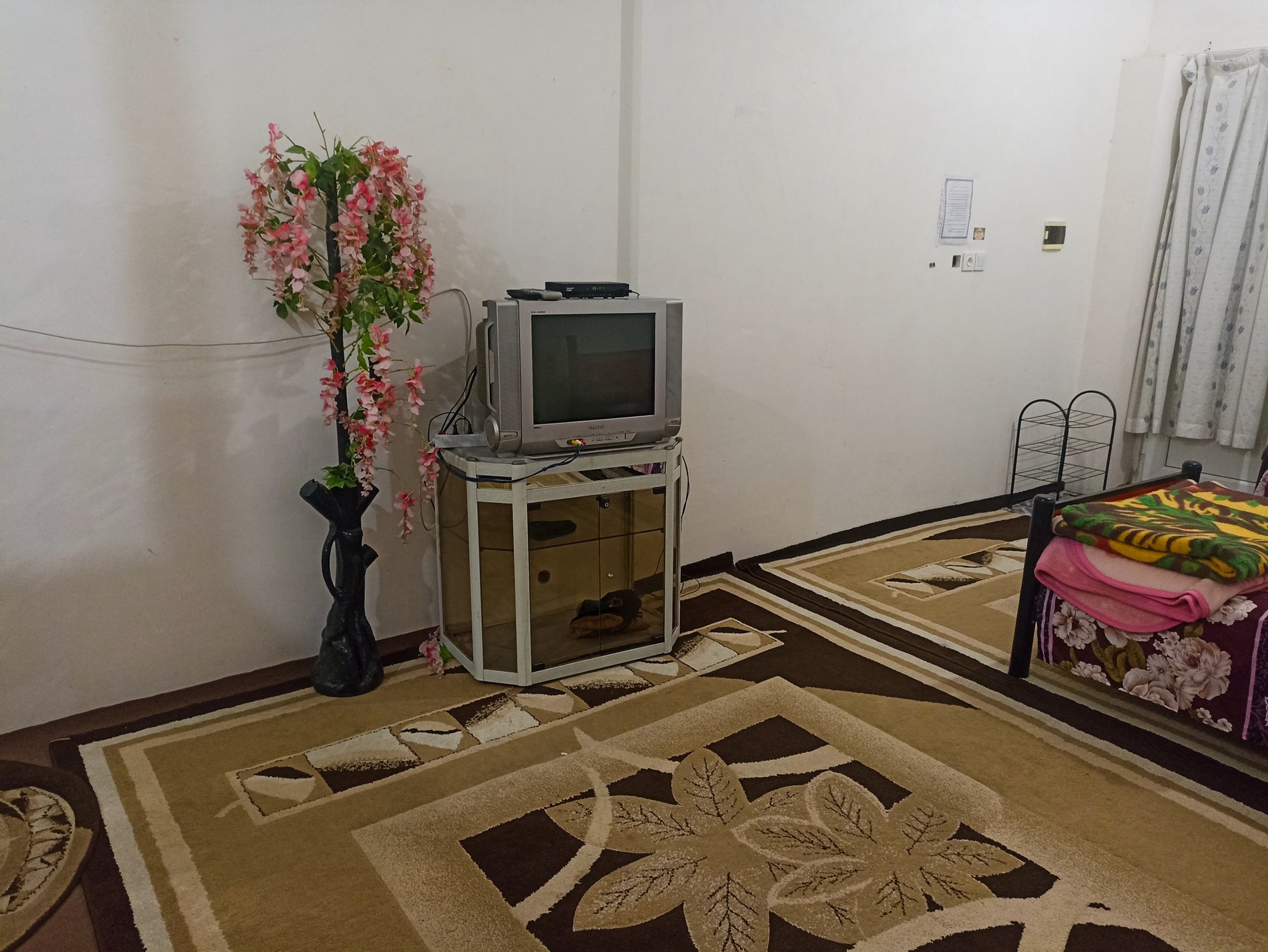 سوئیت فلت محیط 50