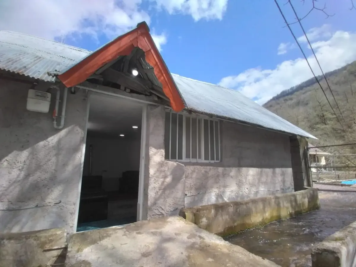 سوئیت فلت جنگلی سرای گل