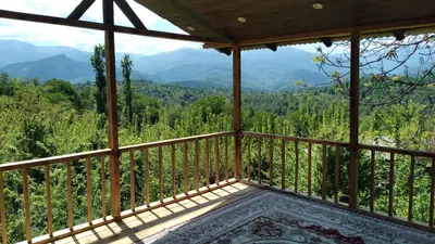 کلبه یک خوابه جنگلی طاها لفور