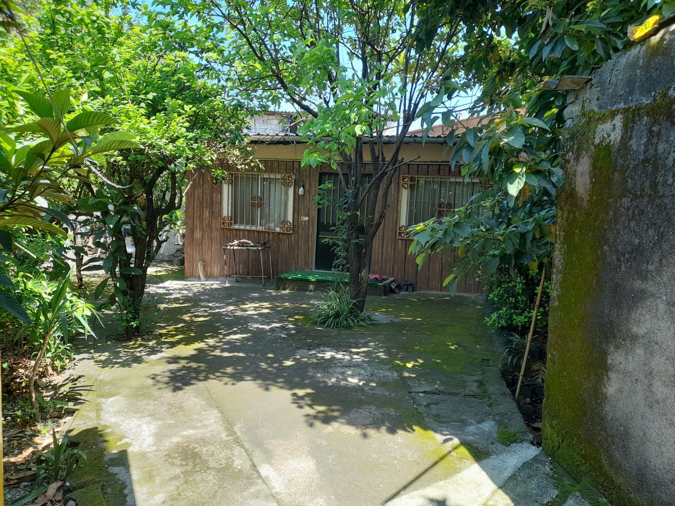 ویلا دوخوابه آواکادو