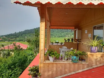 ویلا سه خوابه جنگلی سپهر