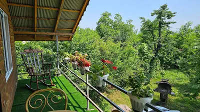 کلبه یک خوابه چوبی باغ انار