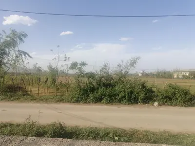 ویلا یک خوابه جنگلی شالکه