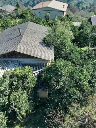 ویلا یک خوابه جنگلی یکشوب