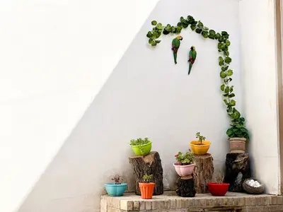 بومگردی چخماق - واحد دل نشین